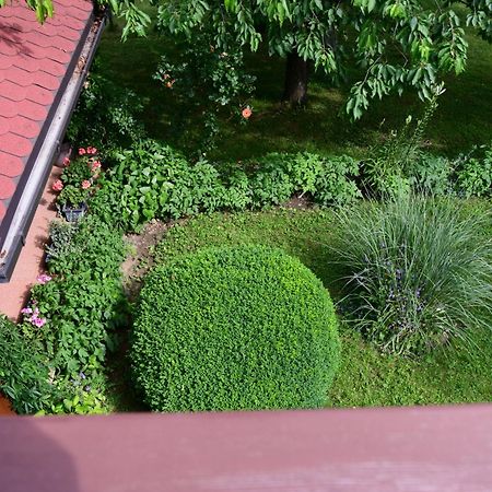 Apartment And Rooms Ivancica Seliste Dreznicko Exterior foto