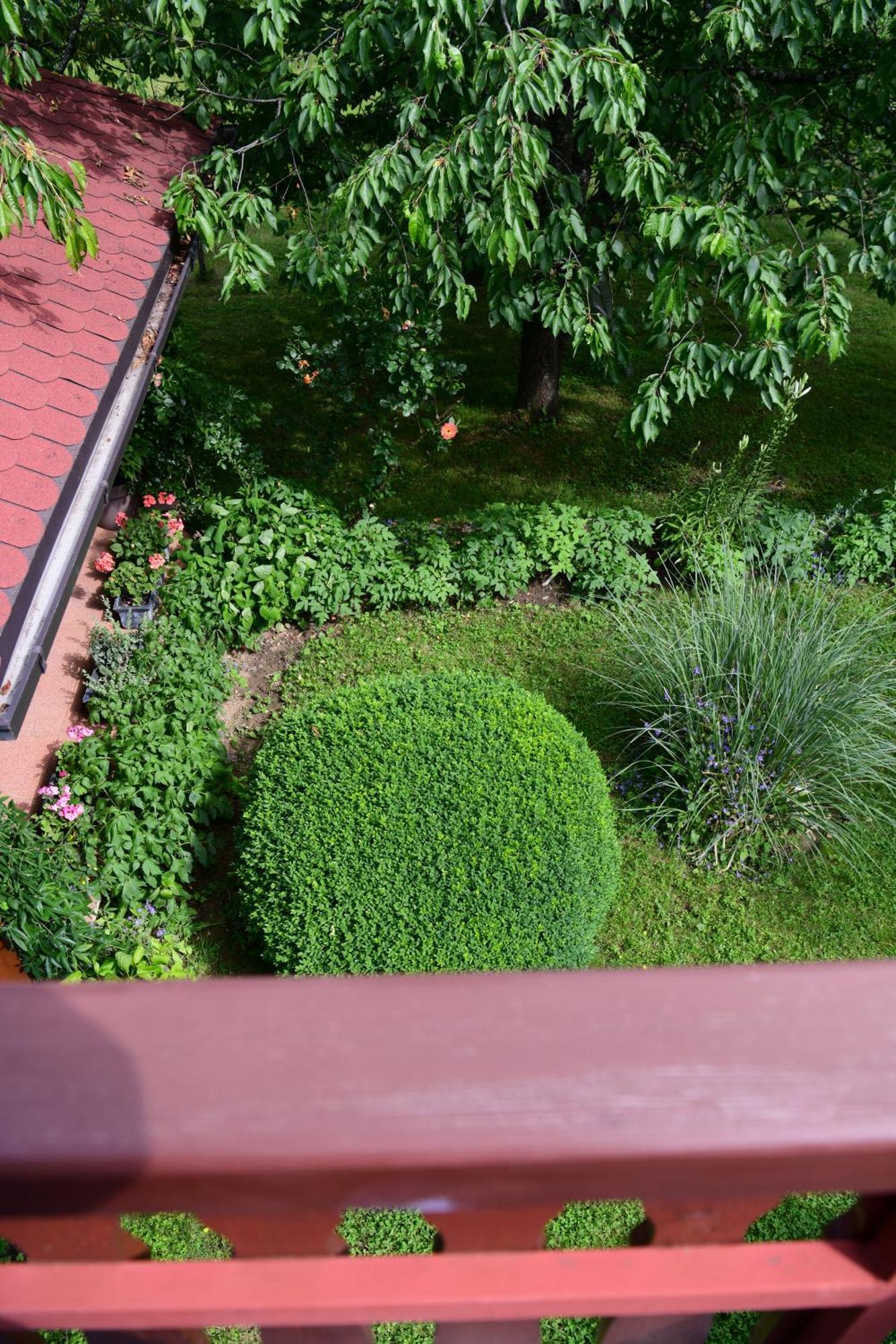 Apartment And Rooms Ivancica Seliste Dreznicko Exterior foto